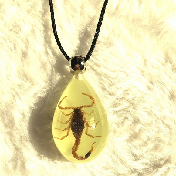 Necklace pendant Scorpion King amber from nature